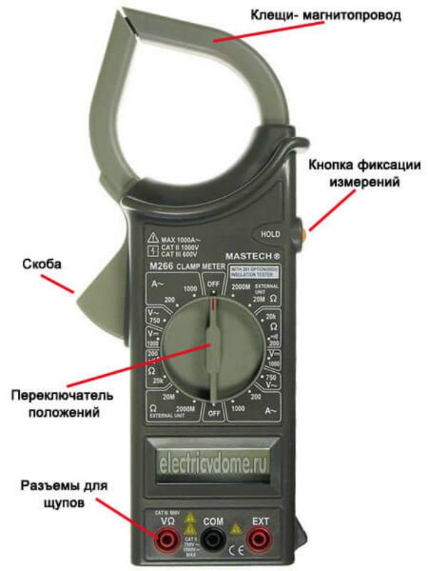 Строение клещей