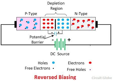 reverse-biasing-circuit