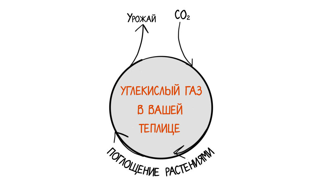 Углекислый газ в теплице