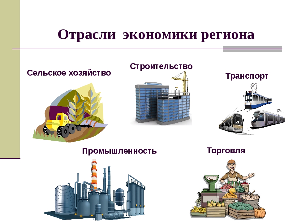 Укажи главную отрасль экономики россии в. Отрасли экономики. Отрасль экономики промышленность. Отрасли экономики региона. Промышленность схема.