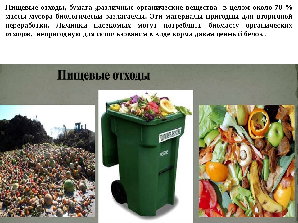 Пищевые отходы утилизация. Пищевые отходы. Утилизация пищевых отходов. Способы утилизации пищевых отходов. Пищевые отходы ЛПУ.
