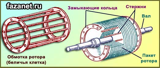 korotkozamknutyy rotor