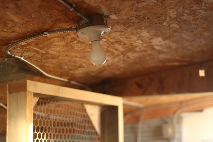 supplemental light in winter chicken coop