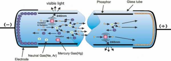 Состав люминесцентные лампы